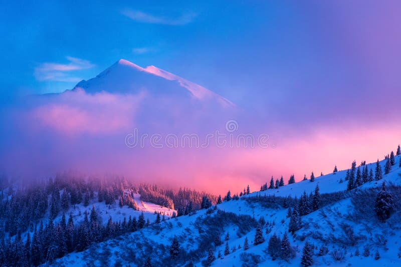 Fantastic winter landscape in snowy mountains glowing by pink evening sunlight