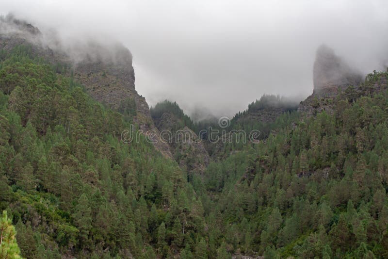 Fantastische Ansicht über einen Wald auf Felsformationen lizenzfreie stockfotografie Fantastische Ansicht über einen Wald auf Felsformationen lizenzfreie stockfotografie