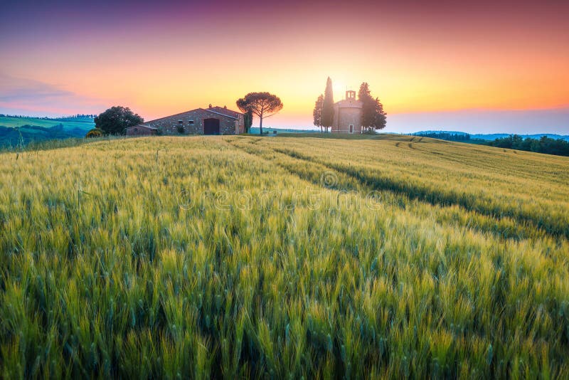 Fantastische Vitaleta-Kapelle bei Sonnenuntergang, nahe Pienza, Toskana, Italien, Europa stockfotos Fantastische Vitaleta-Kapelle bei Sonnenuntergang, nahe Pienza, Toskana, Italien, Europa stockfotos