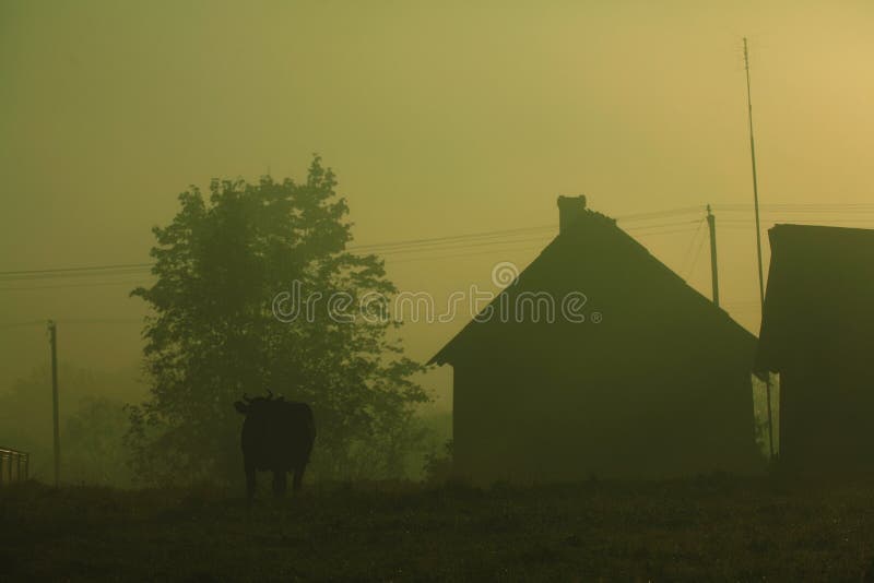 Fantastischer Sommersonnenuntergang lizenzfreie stockfotografie Fantastischer Sommersonnenuntergang lizenzfreie stockfotografie