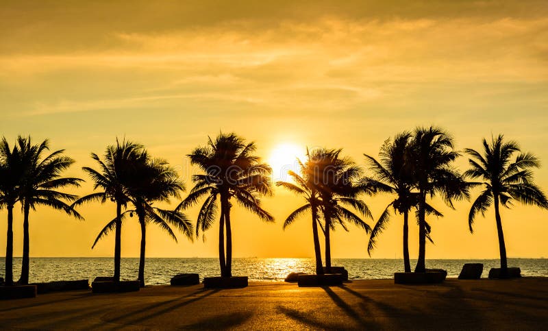 Fantastischer tropischer Strand mit Palmen bei Sonnenuntergang