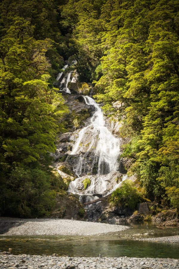 Fantail Falls, a waterfall cascading through the dense rainforest near Highway 6 on the South Island of New Zealand. Fantail Falls, a waterfall cascading through the dense rainforest near Highway 6 on the South Island of New Zealand