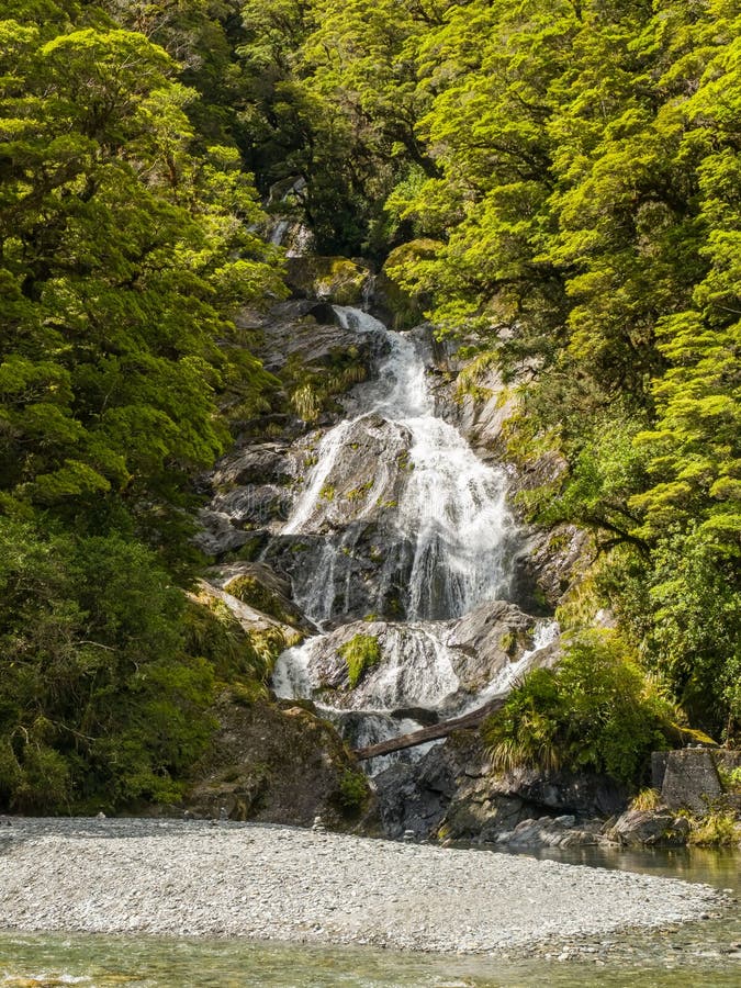 Fantail Falls, a waterfall cascading through the dense rainforest near Highway 6 on the South Island of New Zealand. Fantail Falls, a waterfall cascading through the dense rainforest near Highway 6 on the South Island of New Zealand