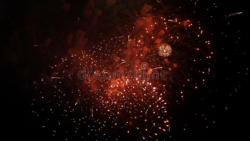 Fantastiska fyrverkerier som exploderar på svart bakgrund lager videofilmer