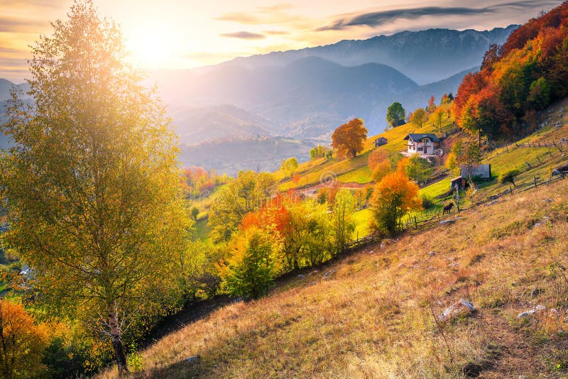 Fantastiskt färgat höstlandskap, byn Magura, Brasov-grevskapet, Transsylvania, Rumänien royaltyfria foton Fantastiskt färgat höstlandskap, byn Magura, Brasov-grevskapet, Transsylvania, Rumänien royaltyfria foton