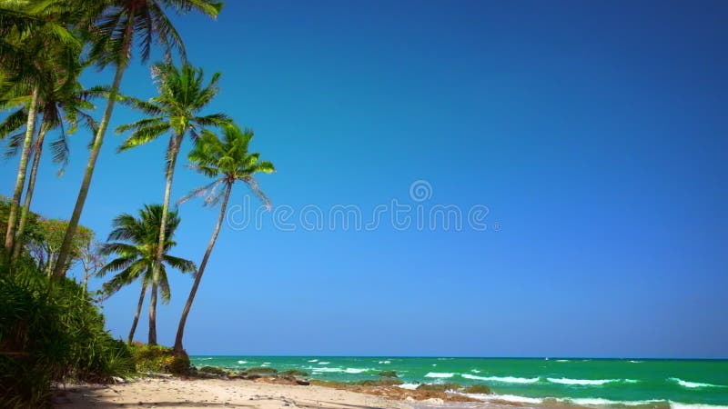 Fantastiskt tropiskt strandlandskap med palmträdet, vit sand och turkoshavvågor Myanmar (Burma)