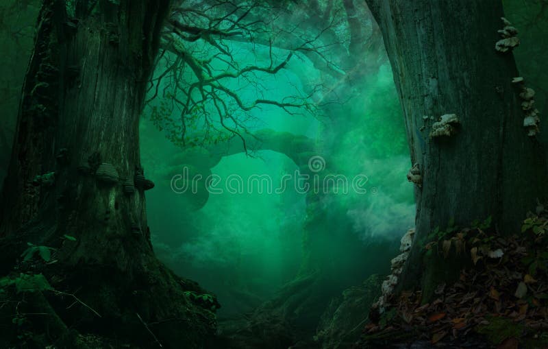 Fantasy forest background with Stone bridge and Blue Smoke
