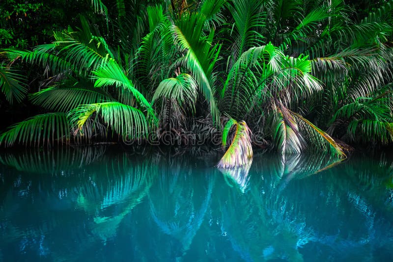 Fantasy landscape of tropical lake stock images Fantasy landscape of tropical lake stock images