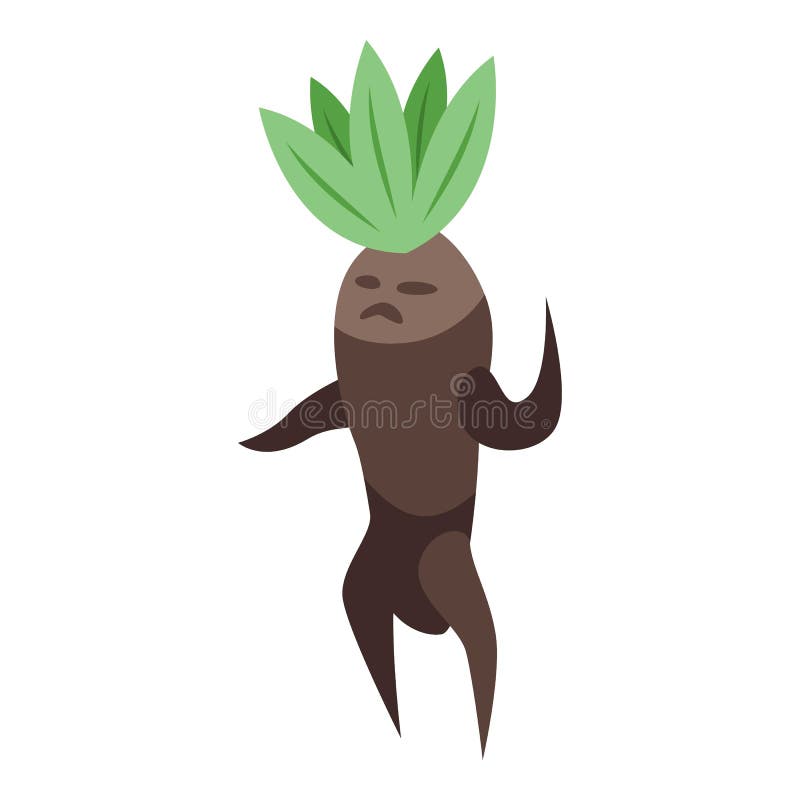 Mandrake Plant Stock Illustrations – 263 Mandrake Plant Stock