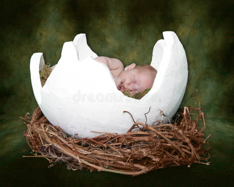 Fantasy Portrait Ifant Sleeping in Cracked Egg royalty free stock image Fantasy Portrait Ifant Sleeping in Cracked Egg royalty free stock image