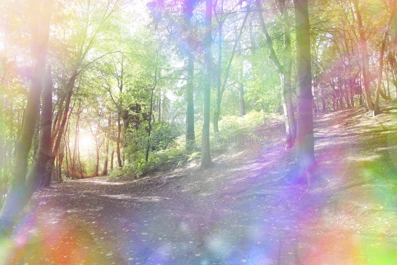 Woodland path and light shining through trees with a fantasy rainbow aura. Woodland path and light shining through trees with a fantasy rainbow aura