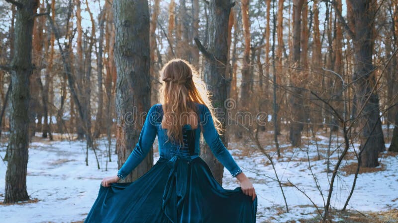 Fantasy szczęśliwa kobieta, królowa spaceruje zimowym lasem. Fryzura tkaniny niebieskiej sukienki zbiory wideo