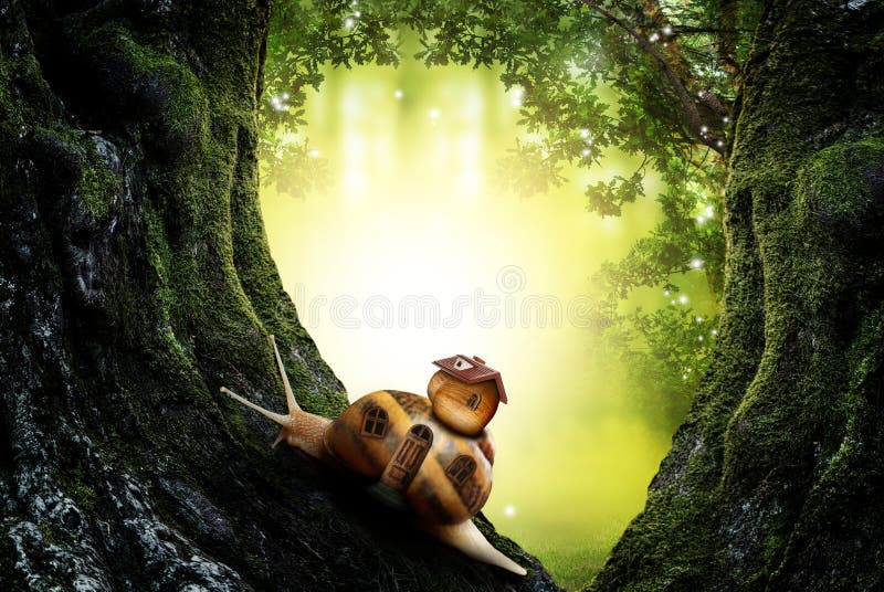 1 172 Fairy Magical World Photos Free Royalty Free Stock Photos From Dreamstime 1 172 Fairy Magical World Photos Free Royalty Free Stock Photos From Dreamstime