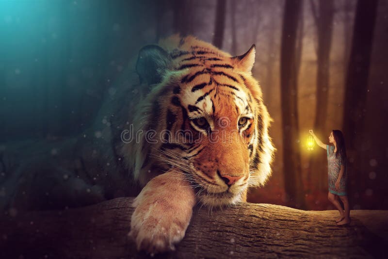 A Fantasy World - a Woman and a Giant Tiger Stock Image - Image of animal, magic: 67682487 A Fantasy World - a Woman and a Giant Tiger Stock Image - Image of animal, magic: 67682487