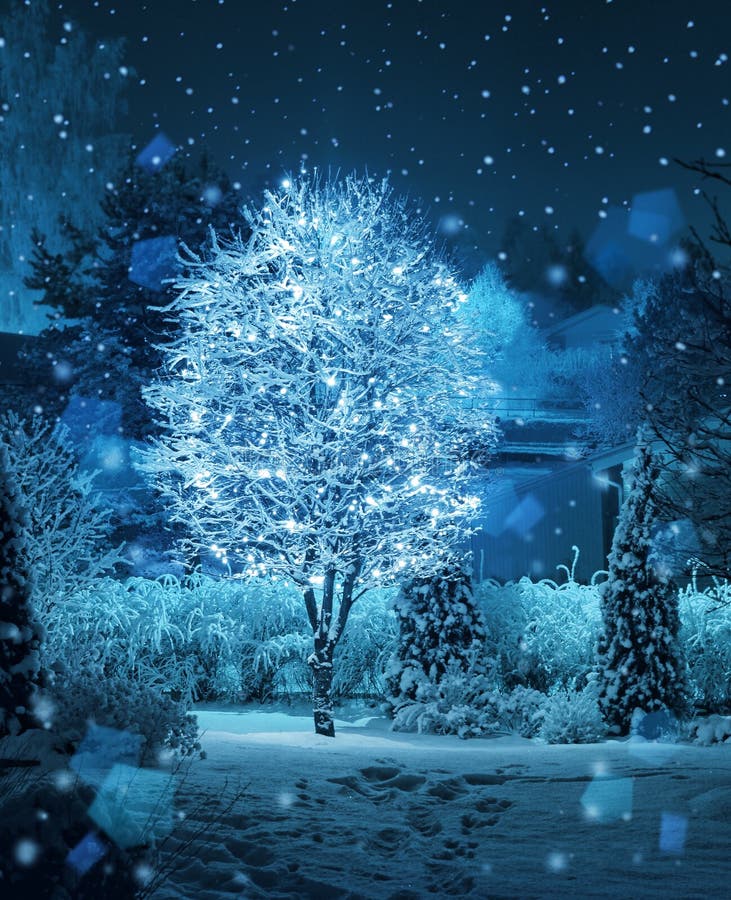 Fantasía iluminada de las nevadas del invernadero del árbol