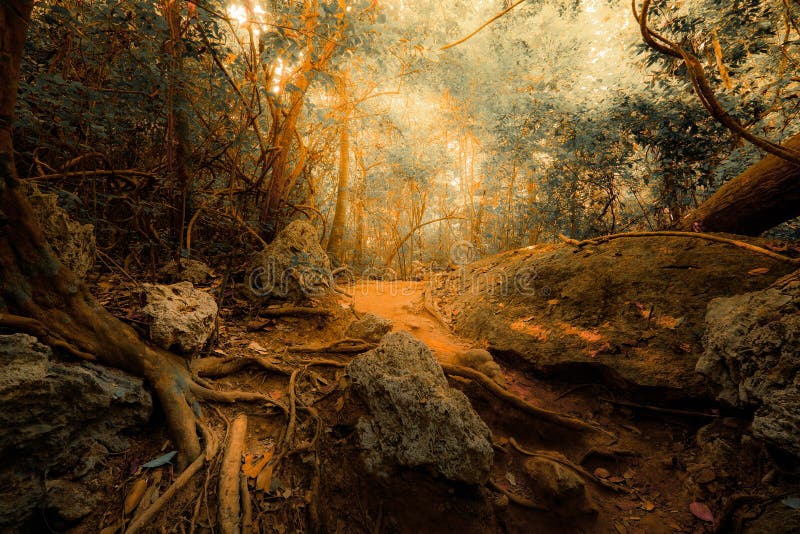 Fantazi dżungli tropikalny las w surrealistycznych kolorach Pojęcia landsc