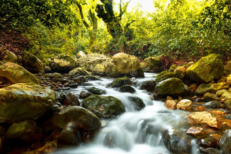 A stream in a verdant landscape, a landscape in the jungle, river between rocks, untouched green landscape, tropical rainforest Jungle, Jungle landscape with flowing water, cascade waterfall at deep tropical rain forest, Fantasy forest with stream, a torrent in a wild forest, torrent between rocks, Torrent scour rocks. A stream in a verdant landscape, a landscape in the jungle, river between rocks, untouched green landscape, tropical rainforest Jungle, Jungle landscape with flowing water, cascade waterfall at deep tropical rain forest, Fantasy forest with stream, a torrent in a wild forest, torrent between rocks, Torrent scour rocks