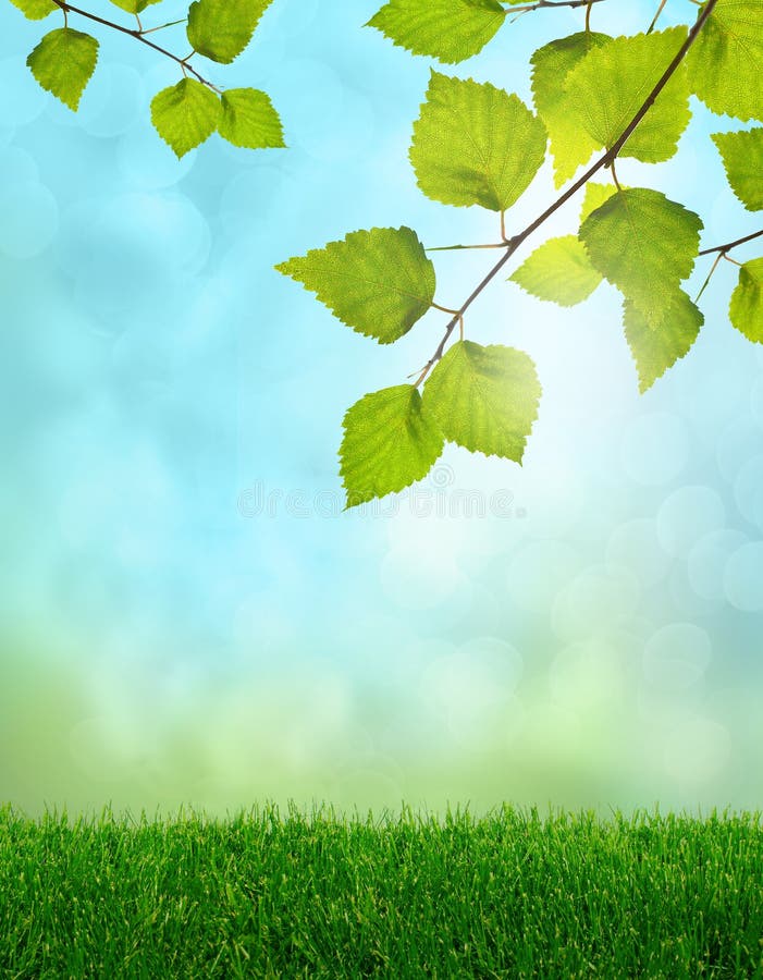 Fantezie cu iarbă verde royalty free stock photography
