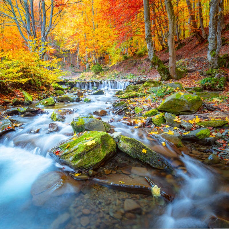 Farbenfrohe Herbstlandschaft - Flusswasserfall im farbenfrohen Herbstwaldpark mit gelben roten Blättern stockbilder
