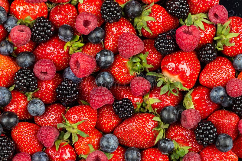 Farbenfrohe, schmackhafte Mischung von Waldbeerfrüchten Erdbeere Himbeere und Brombeere gesunde Ernährung Veganer Lebensmittel