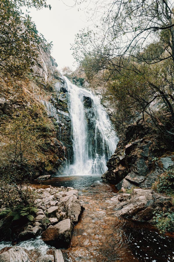 Farbenfroher Schuss eines riesigen Wasserfalls im Wald stockfotografie