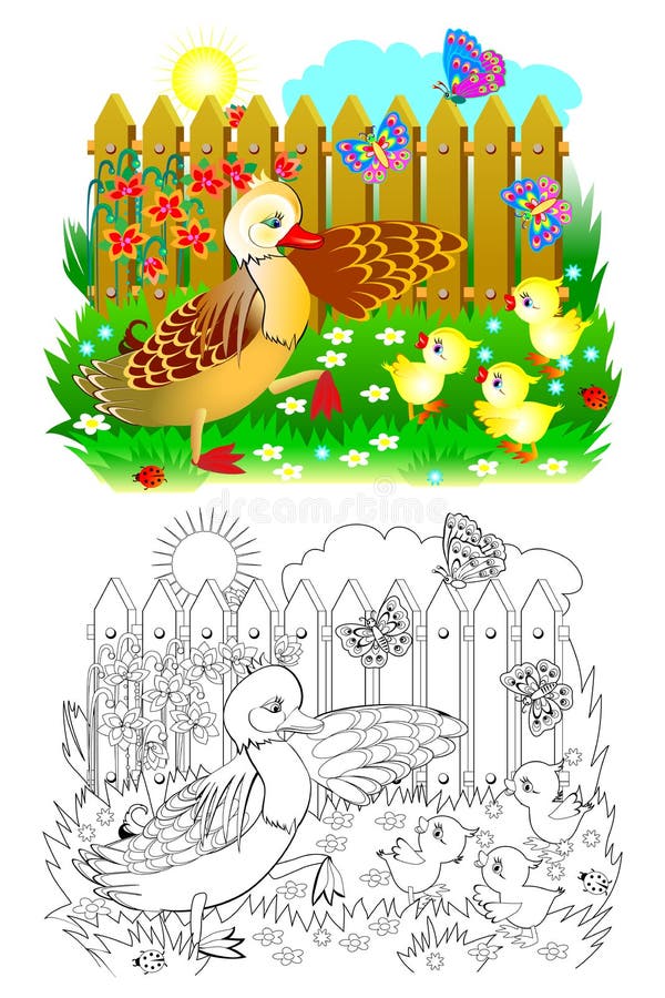 Farbige, schwarz-weiße Seite für das Farbbuch für Kinder Illustration der Mutterente und der kleinen Enten lizenzfreie abbildung