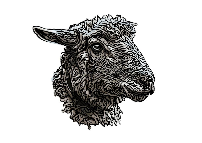 Farbige Vektorhauptillustration Schafen lizenzfreie abbildung