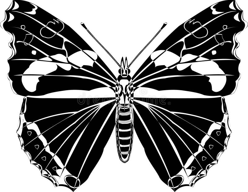 Farfalla illustrazione vettoriale