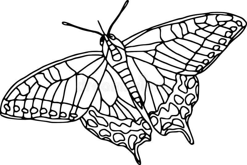 Farfalla royalty illustrazione gratis