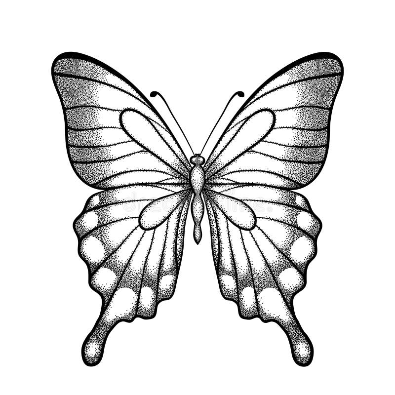 Farfalla grafica in bianco e nero. Una isolata su sfondo bianco royalty illustrazione gratis