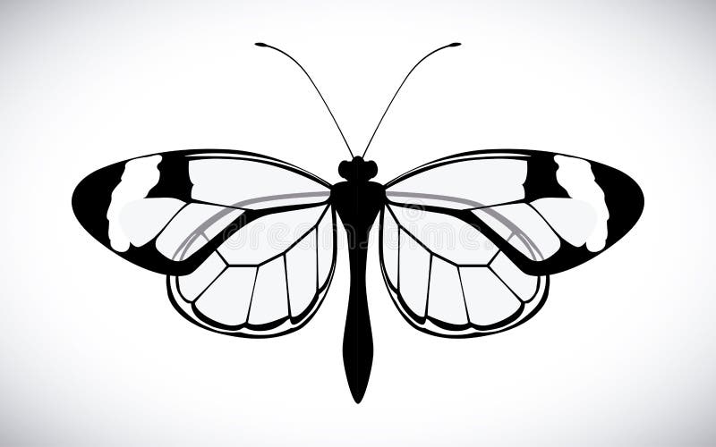 Design di farfalla illustrazione di stock