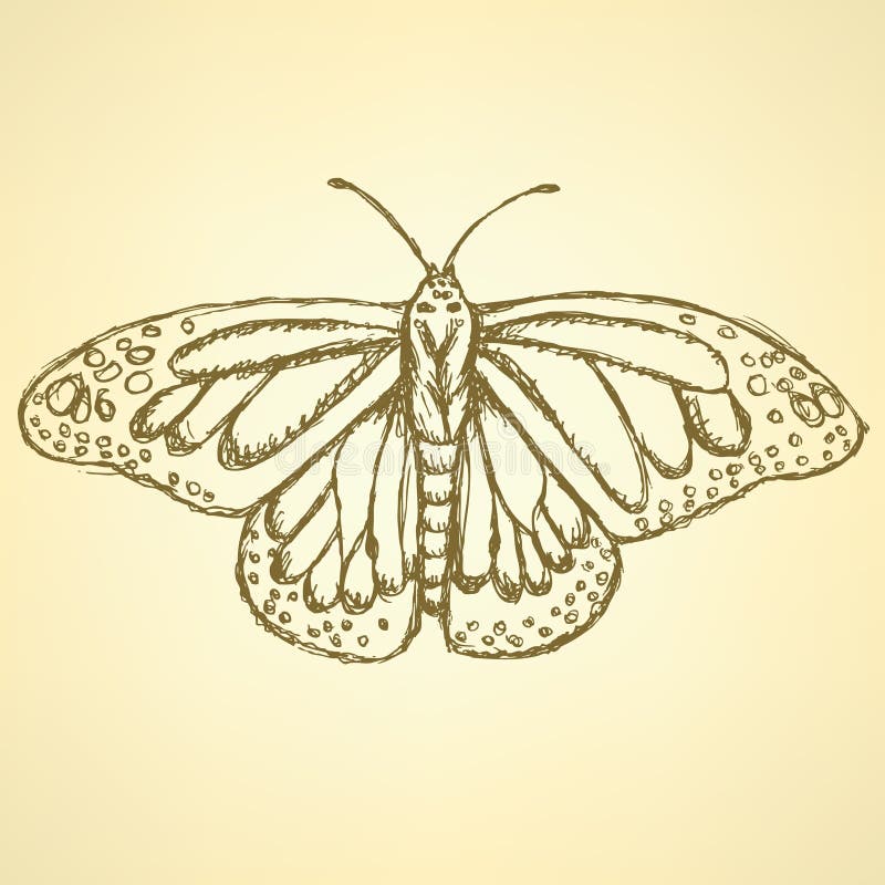 Schizzo di farfalla, sfondo vintage vettoriale royalty illustrazione gratis