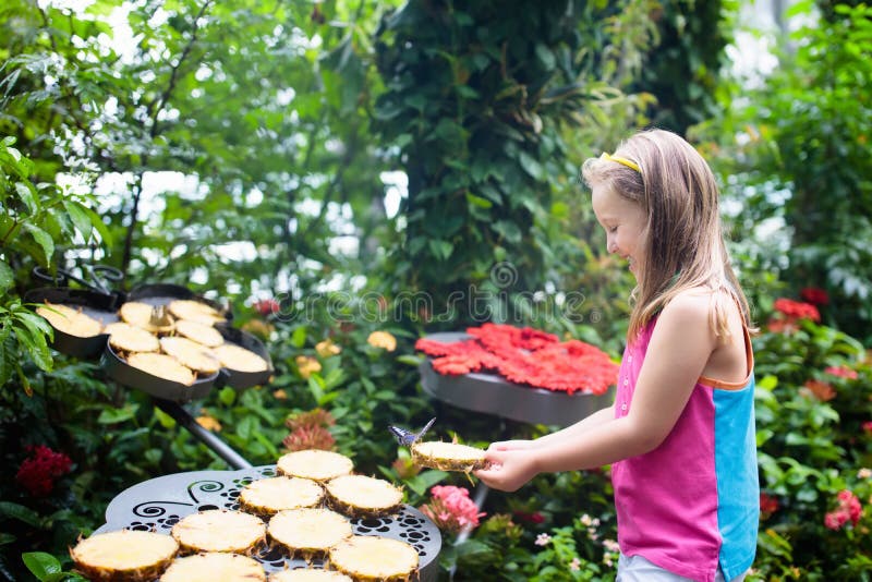 Farfalla di sorveglianza del bambino al giardino tropicale fotografia stock libera da diritti Farfalla di sorveglianza del bambino al giardino tropicale fotografia stock libera da diritti