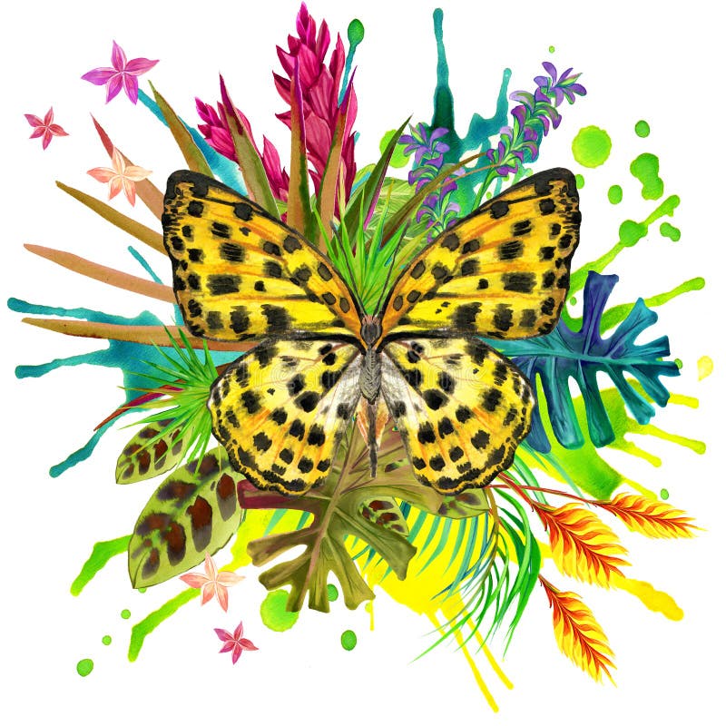 Farfalla, foglie tropicali e fiore esotico illustrazione di stock Farfalla, foglie tropicali e fiore esotico illustrazione di stock