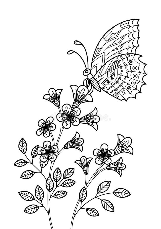 Farfalla sulla pagina del libro di colorazione dell'antitrust floreale per adulti. zentangle insetto illustrazione in bianco e ner