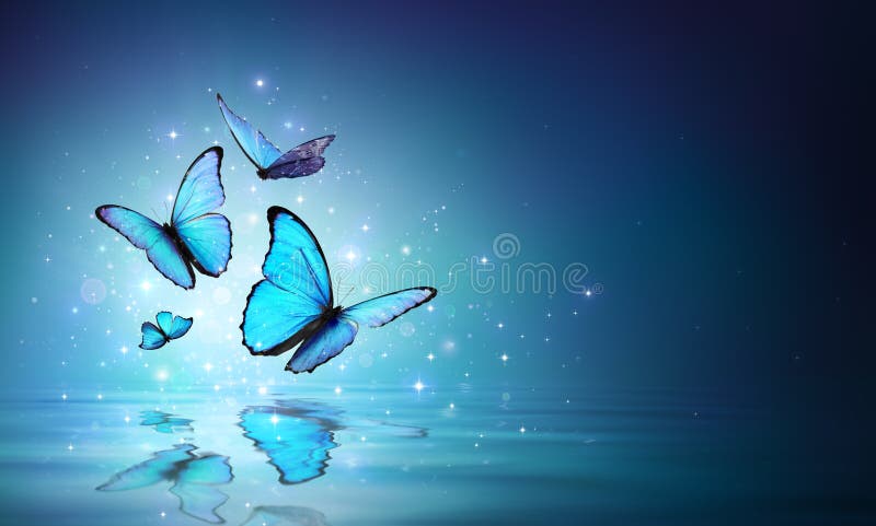 Farfalle blu leggiadramente su acqua immagini stock Farfalle blu leggiadramente su acqua immagini stock