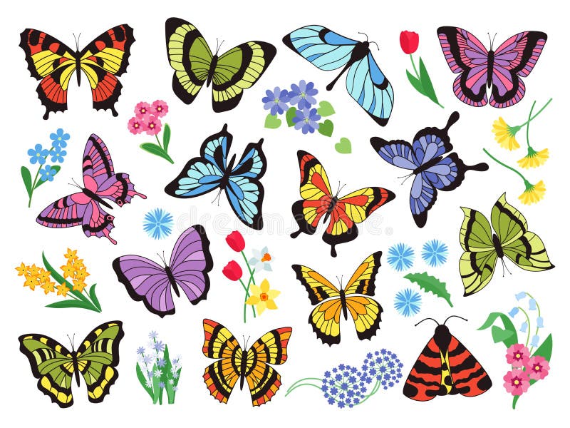Farfalle colorate Raccolta semplice disegnata a mano delle farfalle e dei fiori isolati su fondo bianco Vettore illustrazione vettoriale Farfalle colorate Raccolta semplice disegnata a mano delle farfalle e dei fiori isolati su fondo bianco Vettore illustrazione vettoriale