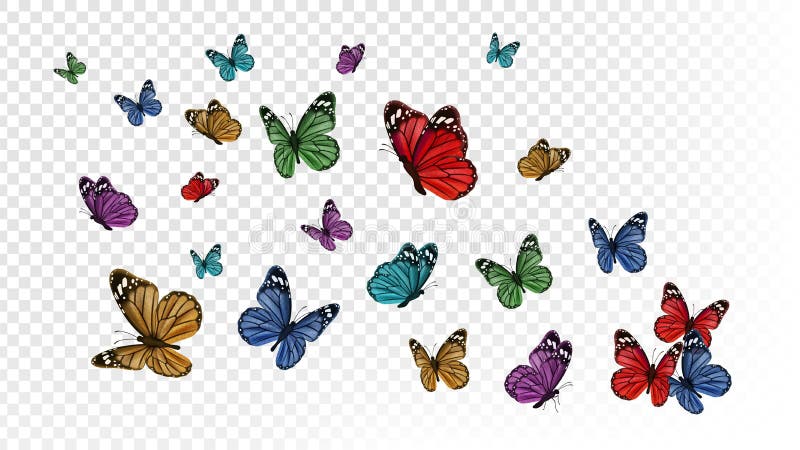 Farfalle volanti Farfalla colorata isolata su fondo trasparente Illustrazione vettoriale degli insetti primaverili ed estivi