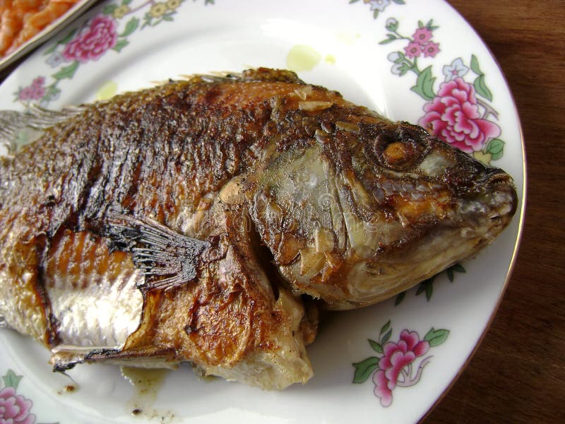 Farina di pesce crucian fritta sana fotografia stock libera da diritti Farina di pesce crucian fritta sana fotografia stock libera da diritti