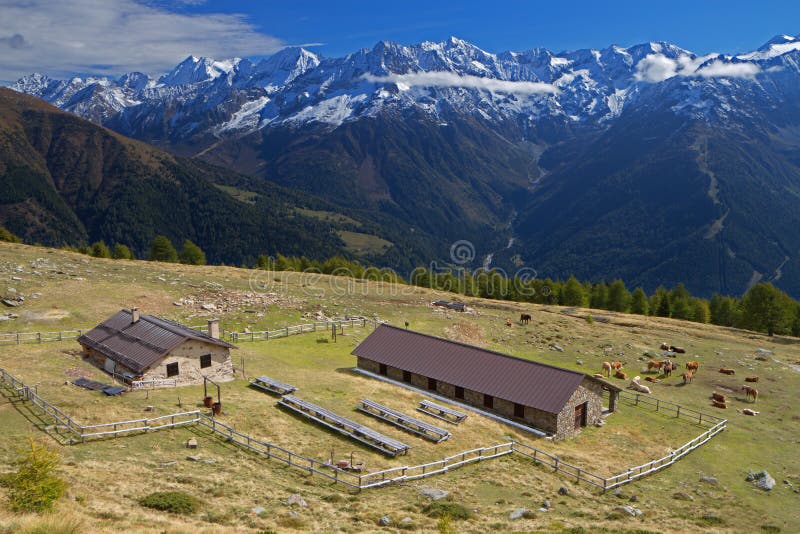 Farm in the alps