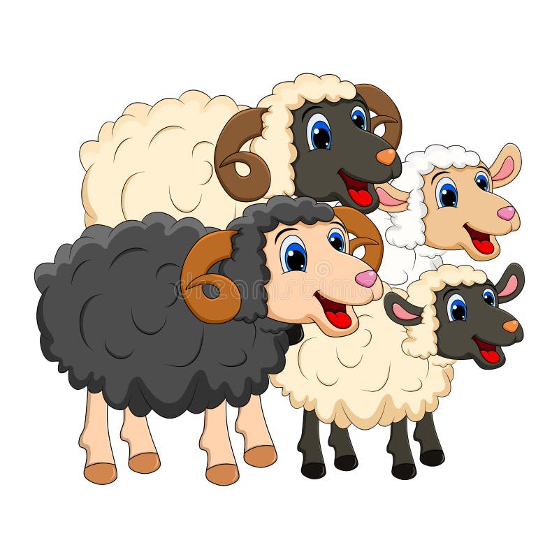 Farm animal group family. white  Sheep, lamb,  black ram   design isolated on white background. Cute cartoon animals collection