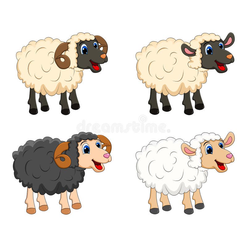 Farm animal group. white  Sheep, lamb,  black ram   design isolated on white background. Cute cartoon animals collection Vector