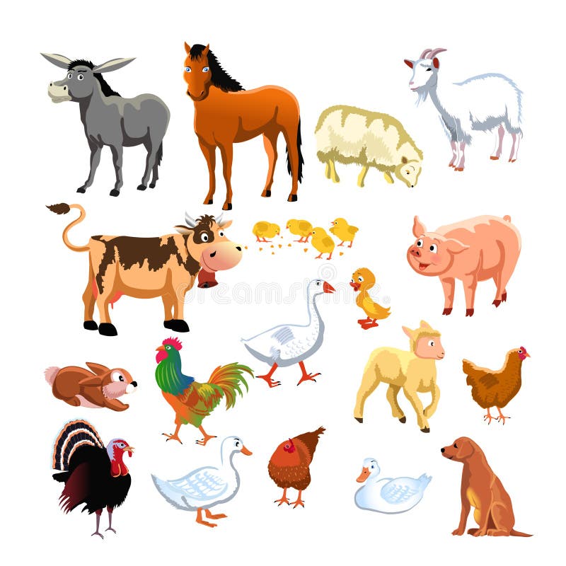 Ilustraciones de varios los animales.