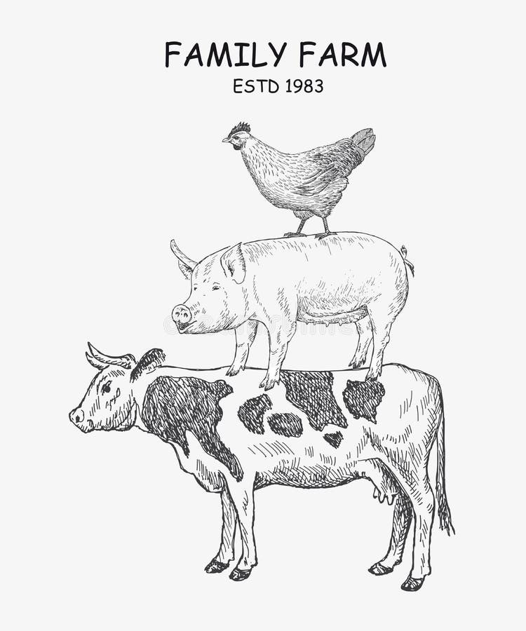 Hand Draw Farm Animals Stock Illustrations – 458 Hand Draw Farm Animals  Stock Illustrations, Vectors & Clipart - Dreamstime