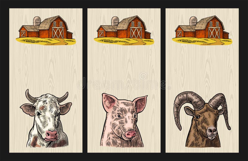 Farm animals set. Pig, cow and goat heads isolated on white background.