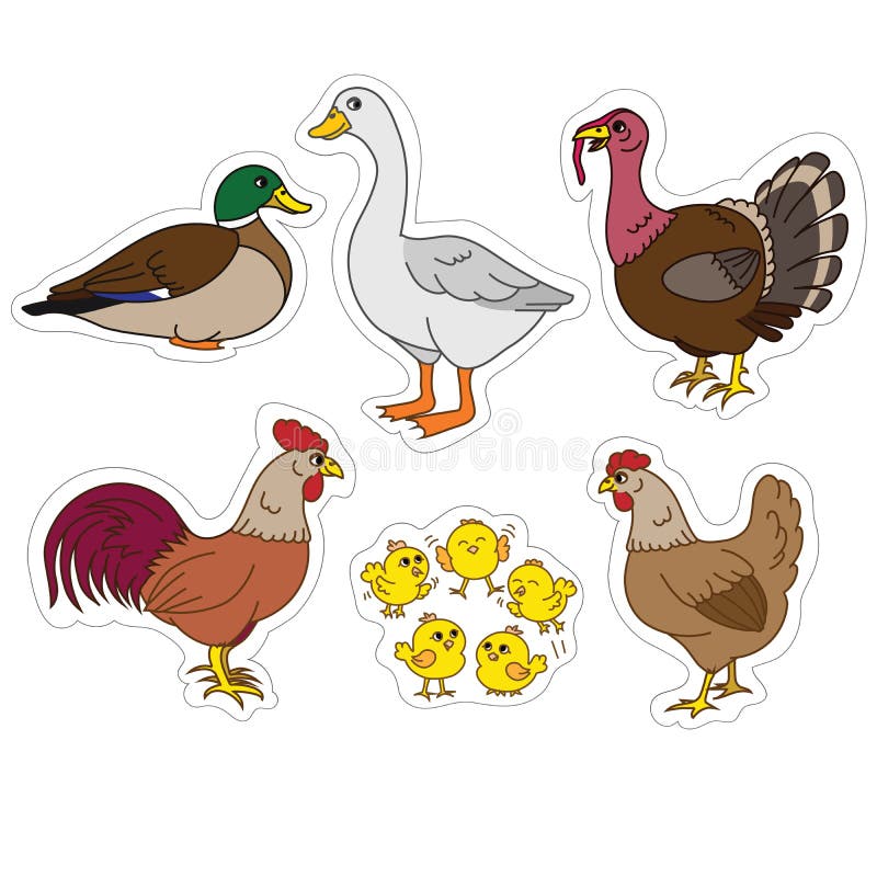 Chicken Farm Animals - Kitchen Set Farmhouse Accessories