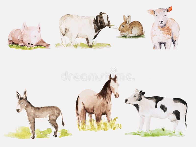 Farm animals