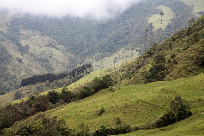 The farm in colombia stock image. Image of colombia, landscape 73172237