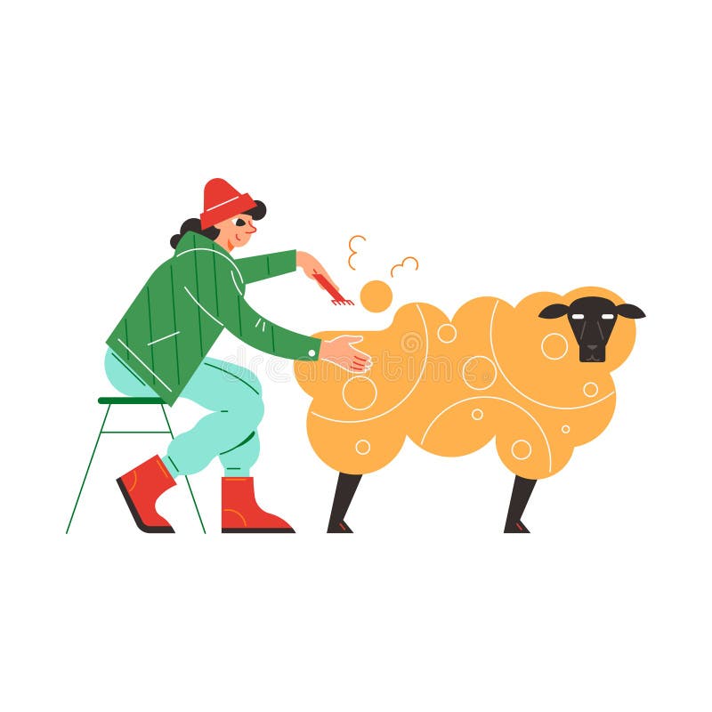 Sheep Shearing Stock Illustrations 124 Sheep Shearing Stock