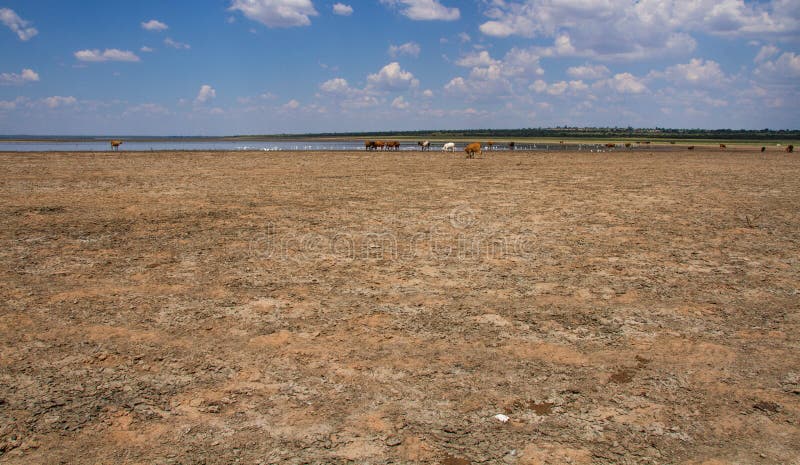 Farm dam with low water level in South Africa